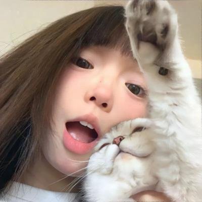 狐狸躲进洞